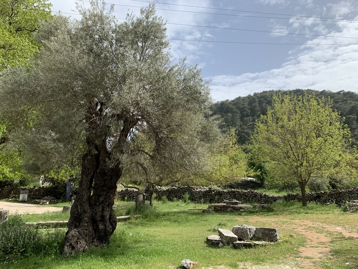 f:id:piedpiper:20190426153117j:plain