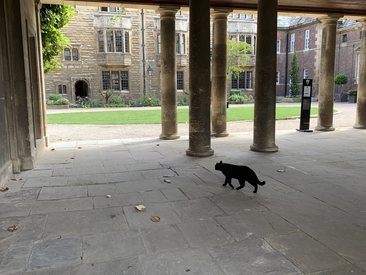 f:id:piedpiper:20190622152041j:plain