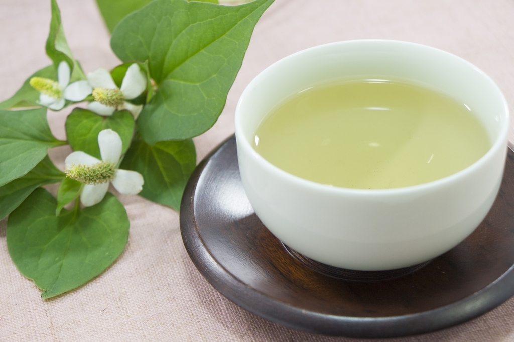ドクダミ茶　どくだみ 健康 美容 アンチエイジング