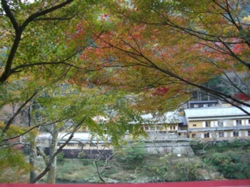 f:id:pigeonleaf:20091121151958j:image