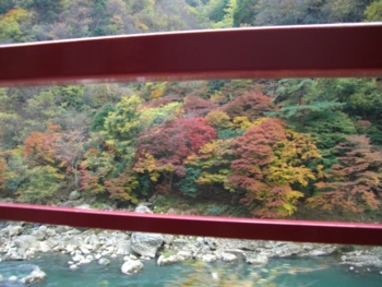 f:id:pigeonleaf:20091121152233j:image