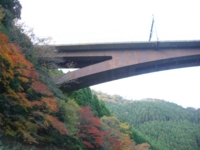 f:id:pigeonleaf:20091121163014j:image