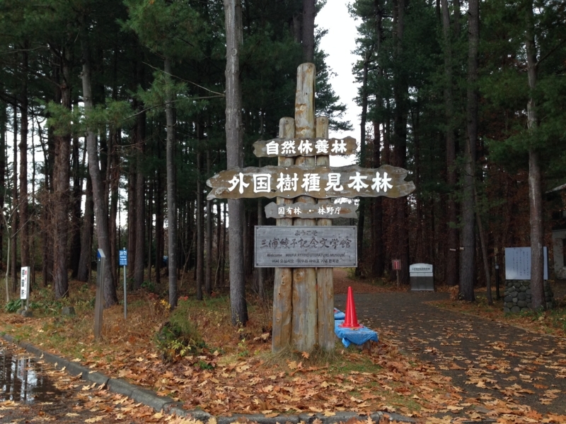 f:id:pigmonm:20171120183751j:image:w360