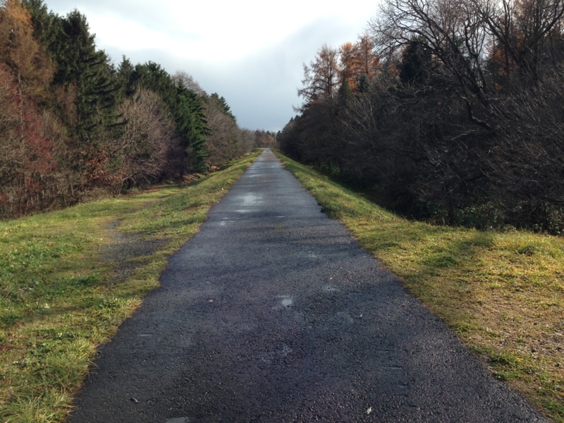 f:id:pigmonm:20171120184122j:image:w360