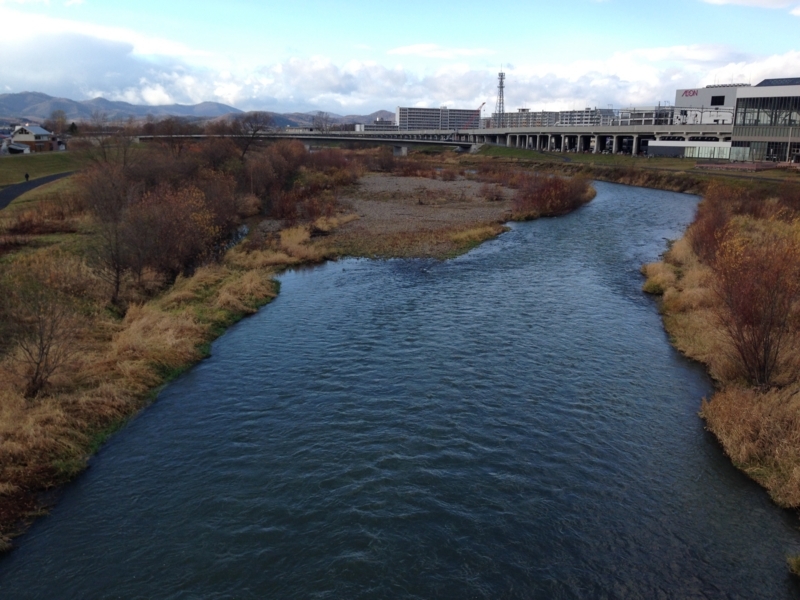 f:id:pigmonm:20171120184456j:image:w360