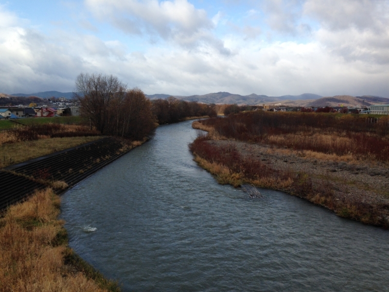 f:id:pigmonm:20171120184459j:image