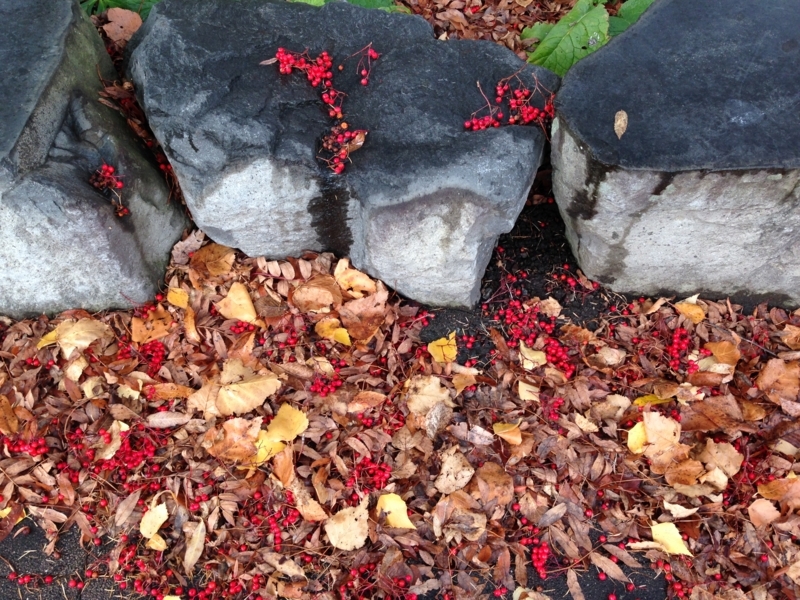 f:id:pigmonm:20171121131232j:image:w360