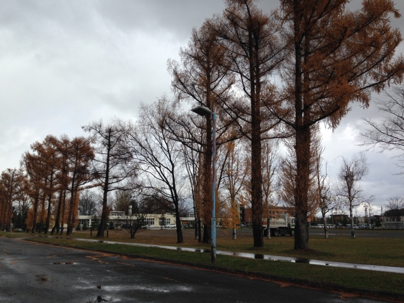 f:id:pigmonm:20171121131233j:image:w360