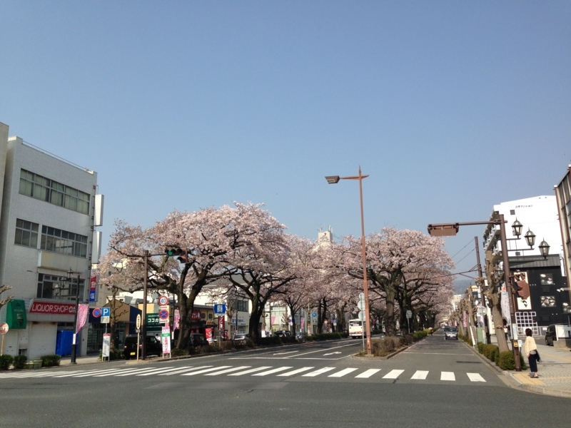 f:id:pigmonm:20180406213225j:image:w360 f:id:pigmonm:20180406213225j:image:w360