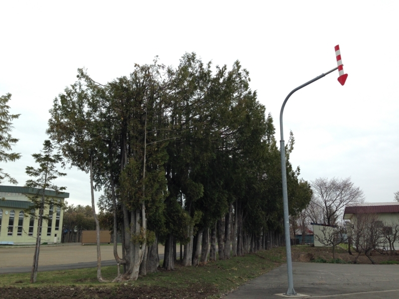 f:id:pigmonm:20180427015656j:image