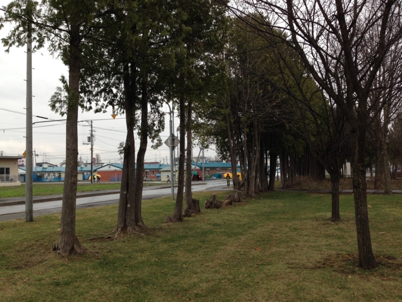 f:id:pigmonm:20180427154236j:image:w360