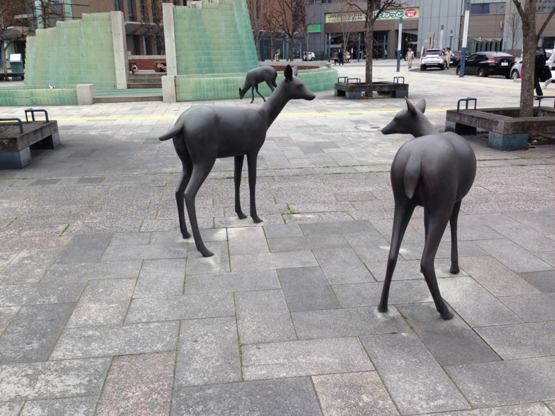 f:id:pigmonm:20180427183411j:image:w360