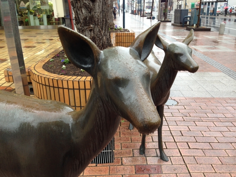 f:id:pigmonm:20180427184259j:image:w360