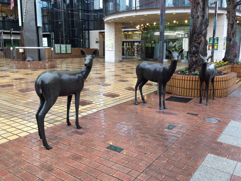 f:id:pigmonm:20180427184308j:image:w360