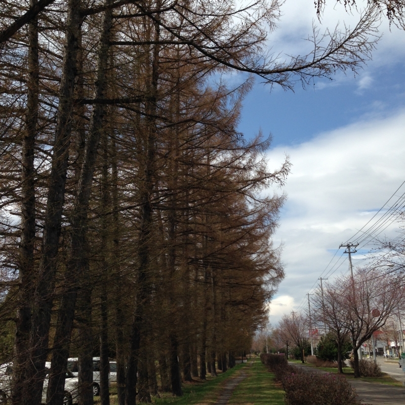 f:id:pigmonm:20180428001057j:image:w360