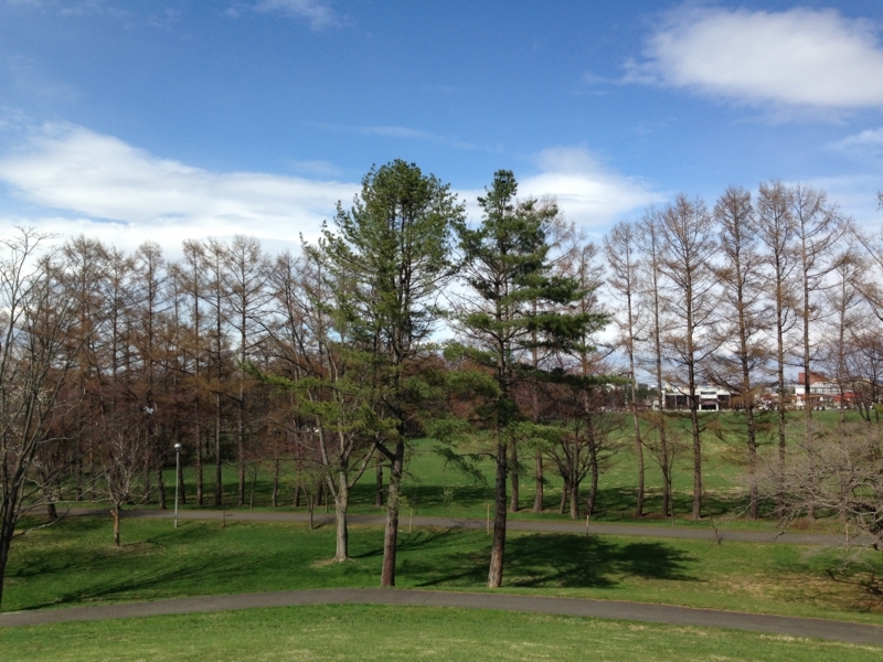 f:id:pigmonm:20180428005705j:image:w360