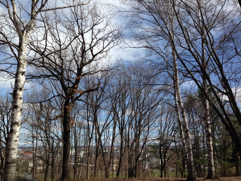 f:id:pigmonm:20180428005723j:image:w360