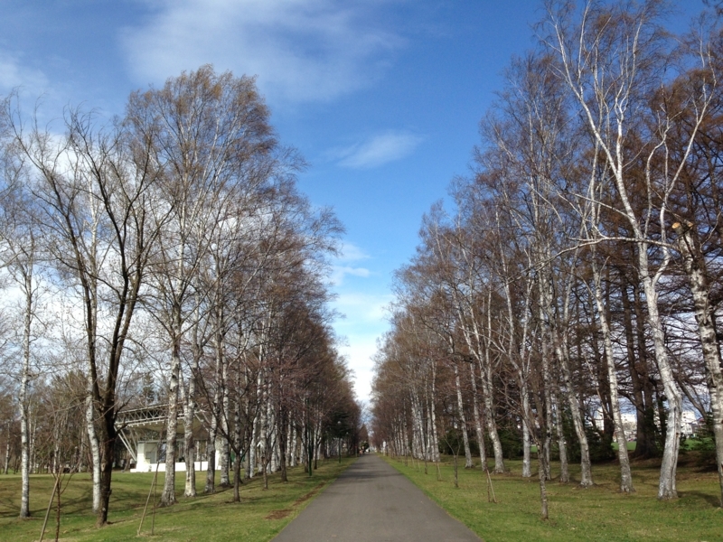 f:id:pigmonm:20180428021424j:image:w360