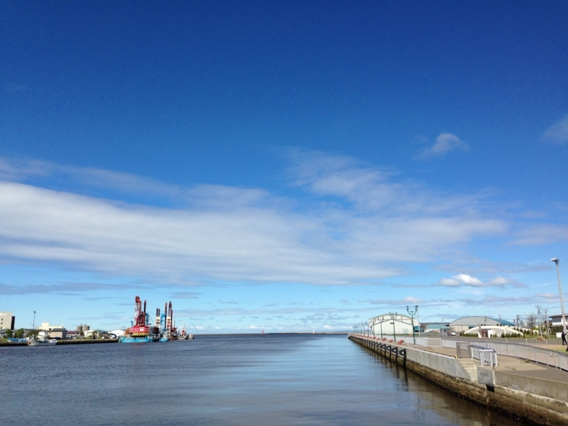 f:id:pigmonm:20180615013531j:image:w360