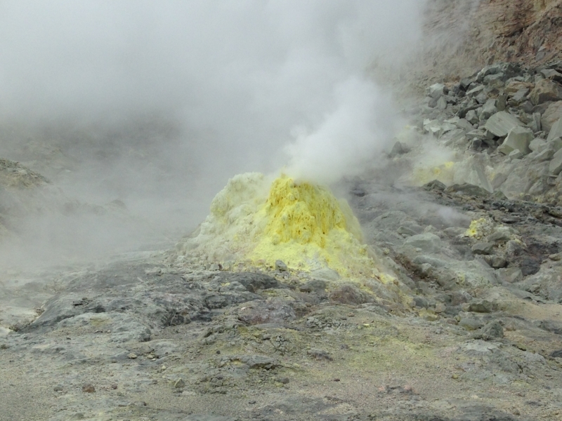 f:id:pigmonm:20180615134855j:image:w360