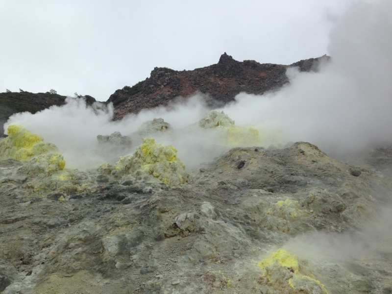 f:id:pigmonm:20180615135351j:image:w360