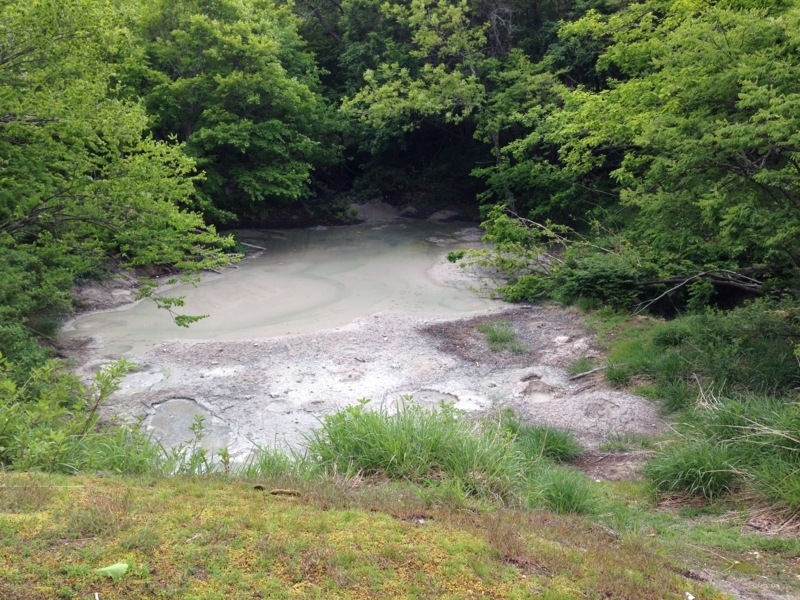 f:id:pigmonm:20180615142205j:image:w360