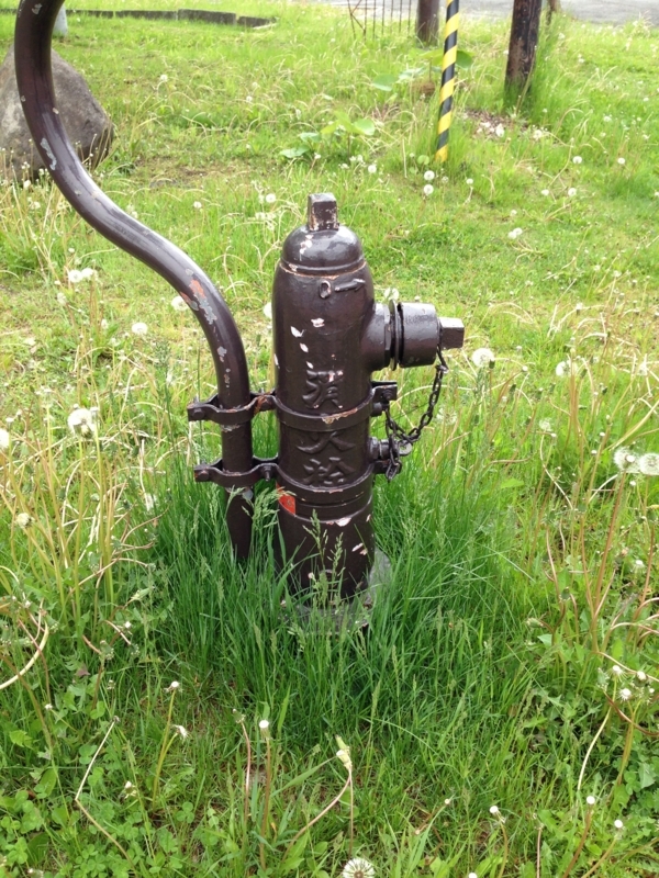 f:id:pigmonm:20180615142601j:image:w240