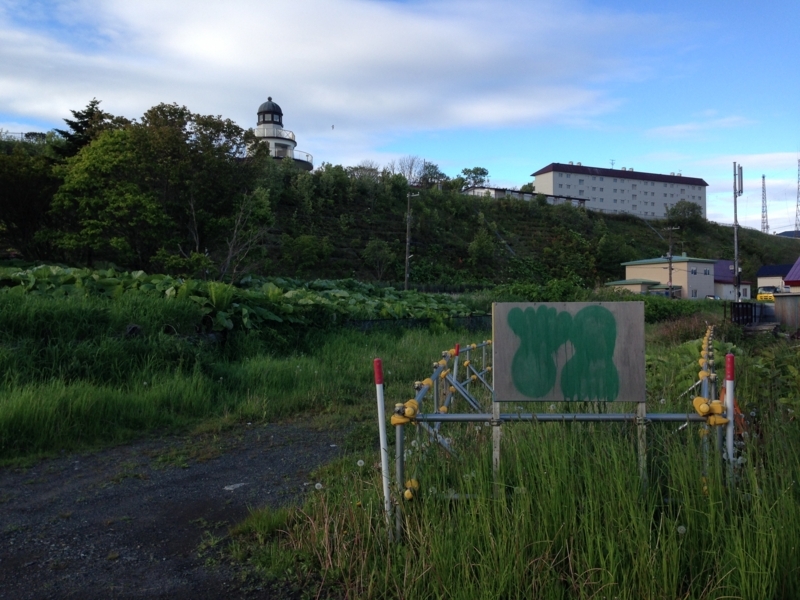 f:id:pigmonm:20180616002223j:image:w360