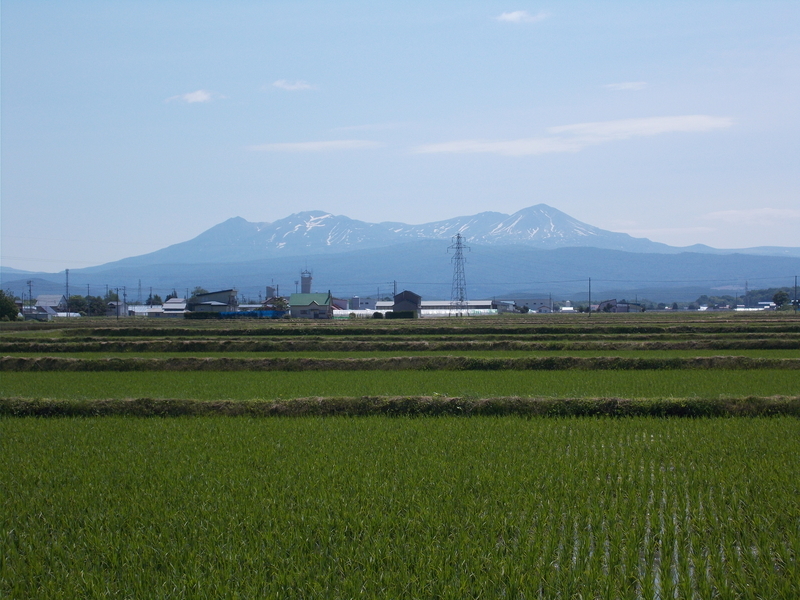 f:id:pigmonm:20190628010056j:plain:w360 f:id:pigmonm:20190628010056j:plain:w360