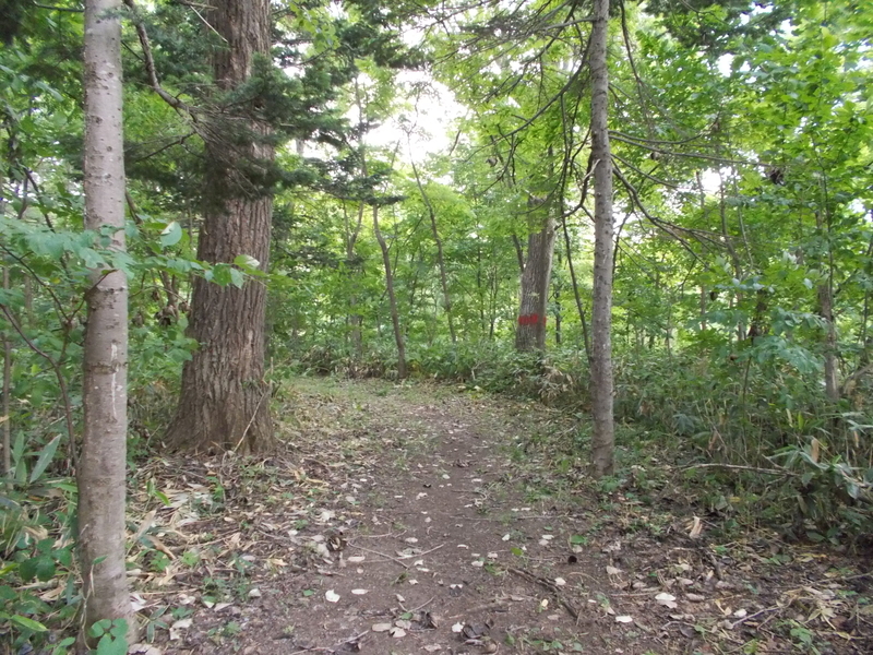 f:id:pigmonm:20190701123141j:plain:w360 f:id:pigmonm:20190701123141j:plain:w360