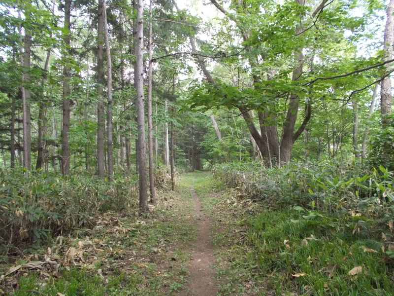 f:id:pigmonm:20190701123217j:plain:w360 f:id:pigmonm:20190701123217j:plain:w360