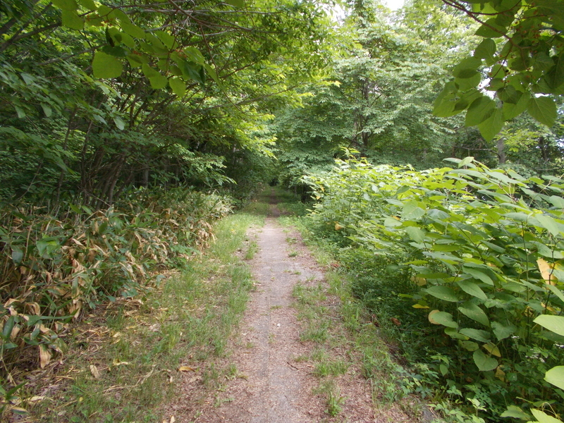 f:id:pigmonm:20190701123253j:plain:w360 f:id:pigmonm:20190701123253j:plain:w360