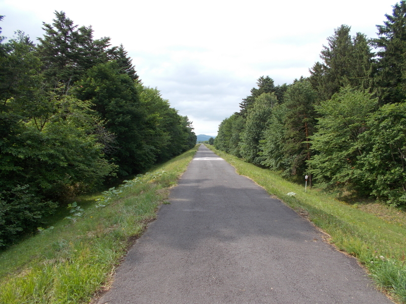 f:id:pigmonm:20190701123350j:plain:w360 f:id:pigmonm:20190701123350j:plain:w360