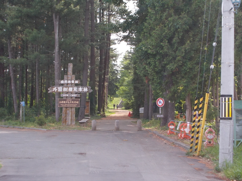 f:id:pigmonm:20190701123436j:plain:w360 f:id:pigmonm:20190701123436j:plain:w360