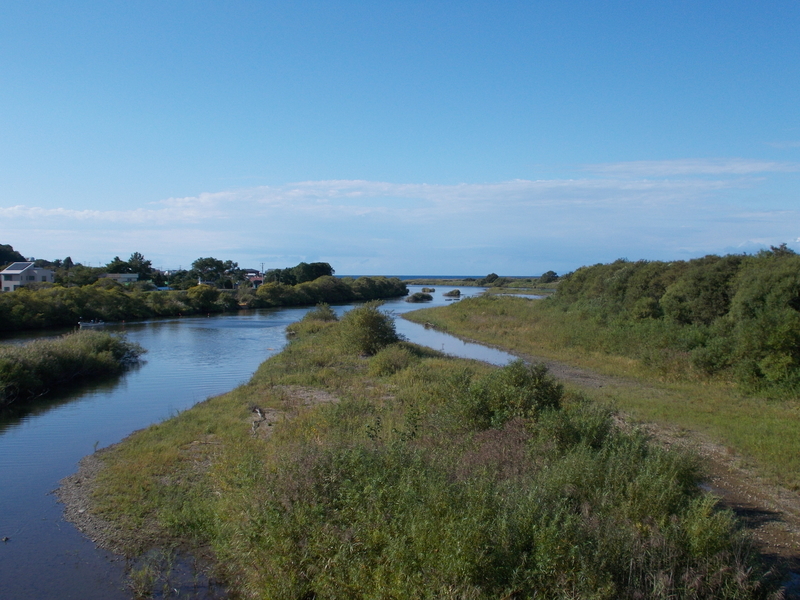 f:id:pigmonm:20190919232502j:plain:w360