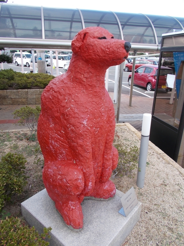 f:id:pigmonm:20191025014159j:plain:w240 f:id:pigmonm:20191025014159j:plain:w240