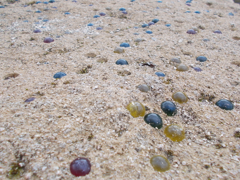 f:id:pigmonm:20200110080743j:plain:w360