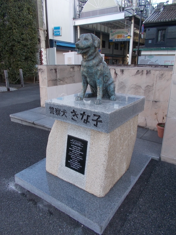 f:id:pigmonm:20200119120841j:plain:w240