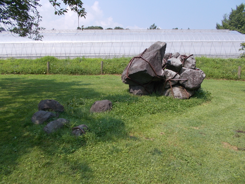 f:id:pigmonm:20200527213816j:plain:h100 f:id:pigmonm:20200527213816j:plain:h100