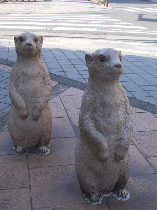 f:id:pigmonm:20210327213755j:plain:w240