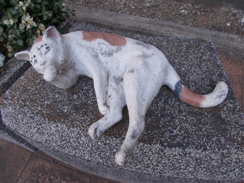 f:id:pigmonm:20210327213808j:plain:w360