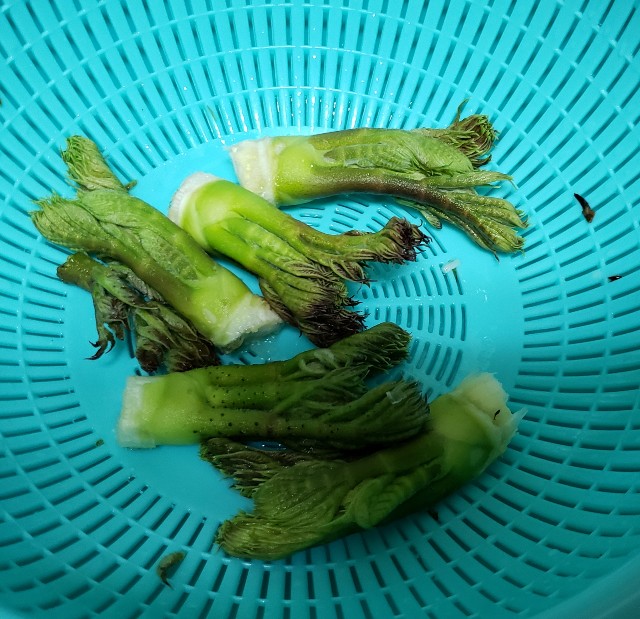 f:id:pigsk8:20190425192739j:image f:id:pigsk8:20190425192739j:image