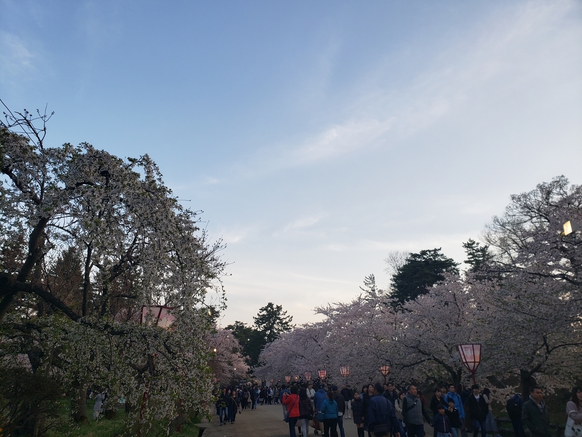 f:id:pigsk8:20190524230354j:plain f:id:pigsk8:20190524230354j:plain