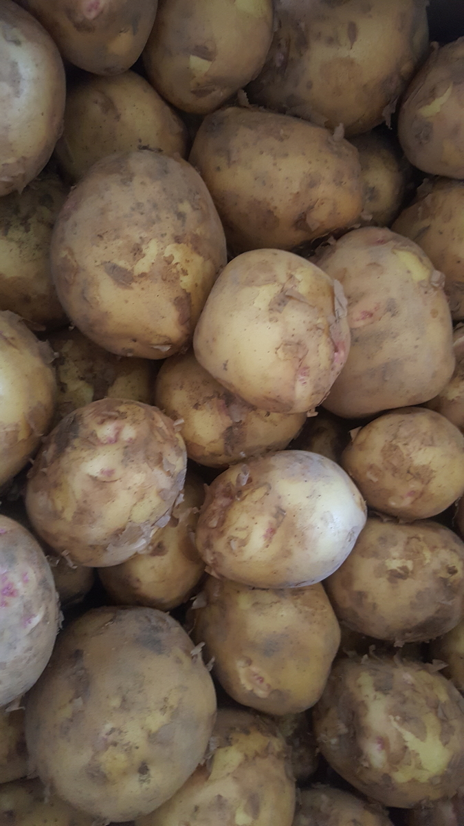 f:id:piidiary:20190531081234j:plain