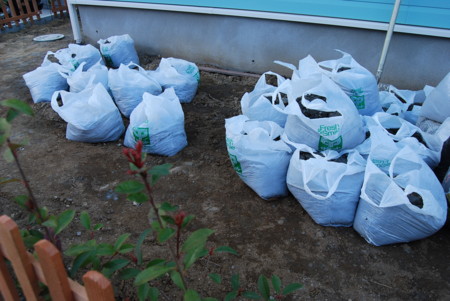 f:id:piihosi:20110317160841j:image