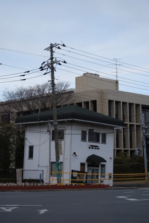 f:id:piihosi:20110317170117j:image