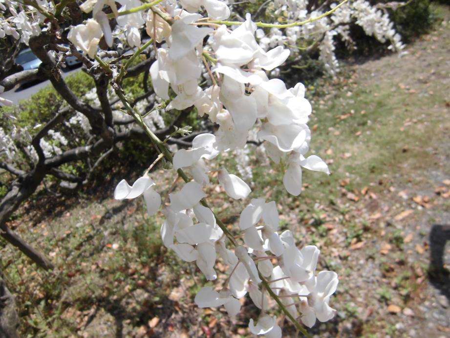 f:id:piitaro:20170215224822j:plain f:id:piitaro:20170215224822j:plain
