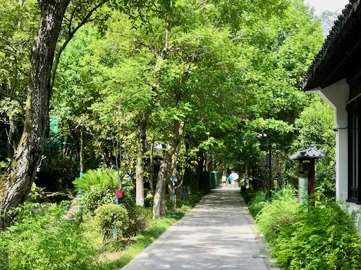 f:id:pijiu:20200823181002j:plain f:id:pijiu:20200823181002j:plain