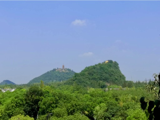 f:id:pijiu:20200823181556j:plain f:id:pijiu:20200823181556j:plain