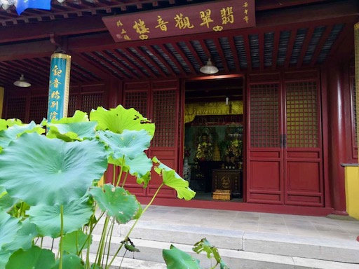 f:id:pijiu:20200823183000j:plain f:id:pijiu:20200823183000j:plain